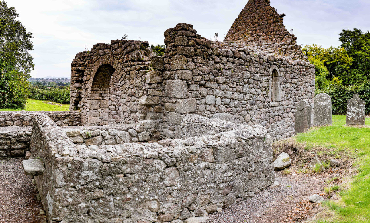 Carrickmines Castle Ruins, Ireland